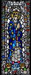 Our Lady and the Stars